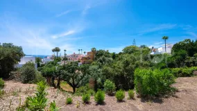 For sale Elviria plot