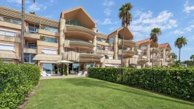 Buy ground floor apartment in Nueva Andalucia