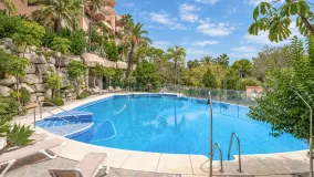 Buy ground floor apartment in Nueva Andalucia