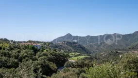Plot in La Zagaleta for sale