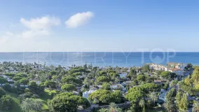 Elviria penthouse for sale