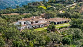 7 bedrooms estate for sale in La Mairena