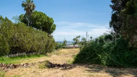 Comprar parcela en El Paraiso