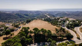 Monte Mayor, parcela a la venta