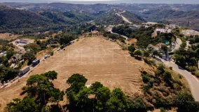Monte Mayor, parcela a la venta