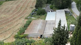Comprar parcela en Setenil de las Bodegas