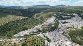 Comprar parcela en Setenil de las Bodegas