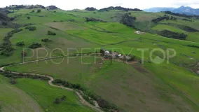 Comprar finca en Montecorto