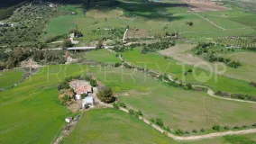 Comprar finca en Montecorto