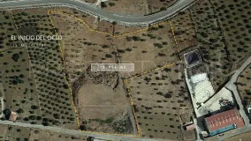 Tolox, parcela a la venta
