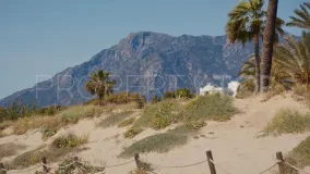 Los Monteros, piso en venta de 3 dormitorios