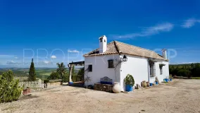 Se vende casa de campo en Santaella