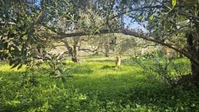 Comprar parcela en Casarabonela