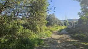 Comprar parcela en Casarabonela