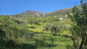 Comprar parcela en Casarabonela