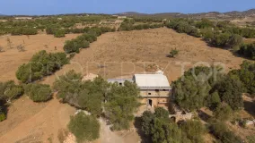 Se vende finca en Manacor con 4 dormitorios