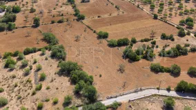 For sale Felanitx plot