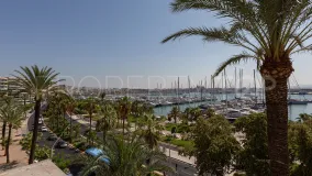 El Terreno 1 bedroom apartment for sale