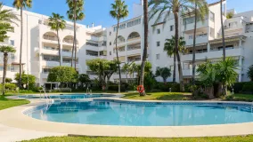 Se vende apartamento en Estepona Este