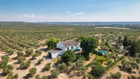 Marmolejo, finca de 6 dormitorios en venta