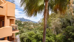 Los Almendros 2 bedrooms apartment for sale