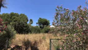 For sale plot in Zona F