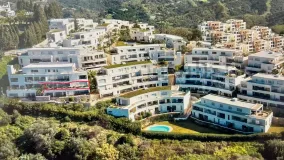 Buy apartment in Los Altos de los Monteros