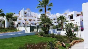 Apartamento planta baja en venta con 1 dormitorio en Selwo
