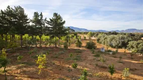 Ronda country house for sale