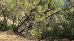 Plot for sale in Benahavis Centro