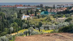 For sale Los Flamingos plot