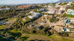 For sale Los Flamingos plot