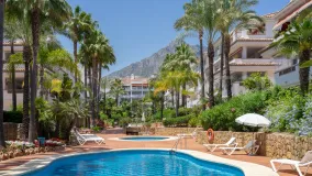 2 bedrooms penthouse in Las Cañas Beach for sale