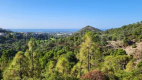 Benahavis, parcela a la venta