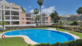 Se vende apartamento planta baja en Nueva Andalucia con 3 dormitorios