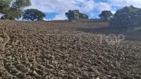 For sale plot in Secadero