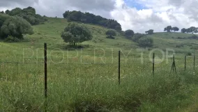 For sale plot in Secadero