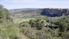 For sale Ronda finca