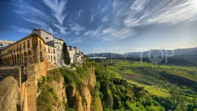 For sale Ronda finca