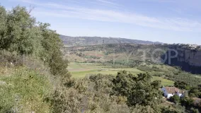 For sale Ronda finca