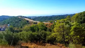 Monte Mayor, parcela a la venta