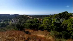 Monte Mayor, parcela a la venta