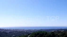 Monte Mayor, parcela a la venta