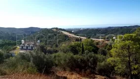 Monte Mayor, parcela a la venta