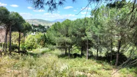 Comprar parcela en Sotogrande Alto