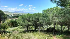 Comprar parcela en Sotogrande Alto