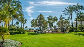 Buy Las Dunas Park apartment with 3 bedrooms