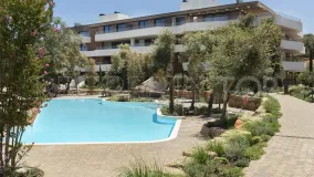 Ground floor apartment for sale in La Reserva with 3 bedrooms