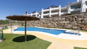 Casares Golf ground floor apartment for sale