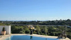 Puerto Romano villa for sale